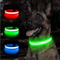 GlowDog™ – Lysande hundhalsband
