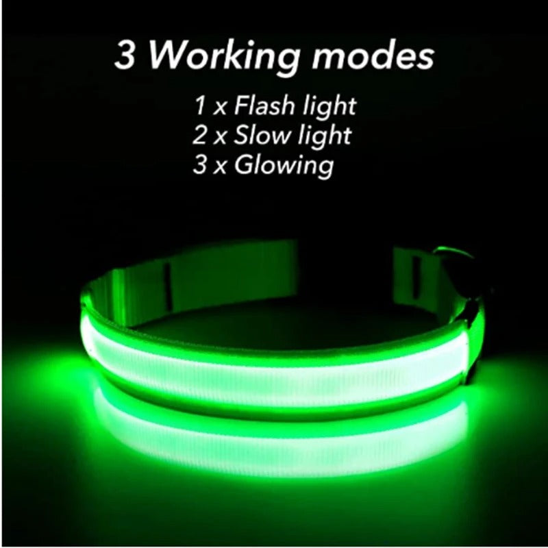 GlowDog™ – Lysande hundhalsband