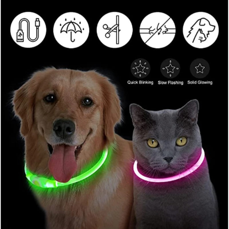 GlowDog™ – Lysande hundhalsband