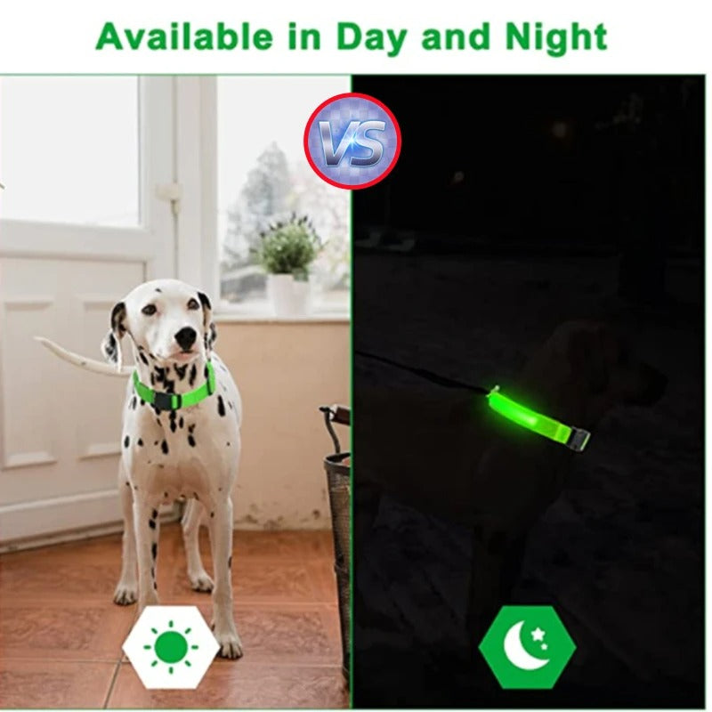 GlowDog™ – Lysande hundhalsband