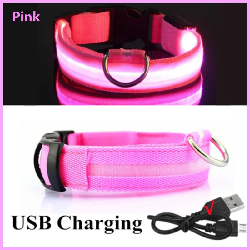 GlowDog™ – Lysande hundhalsband