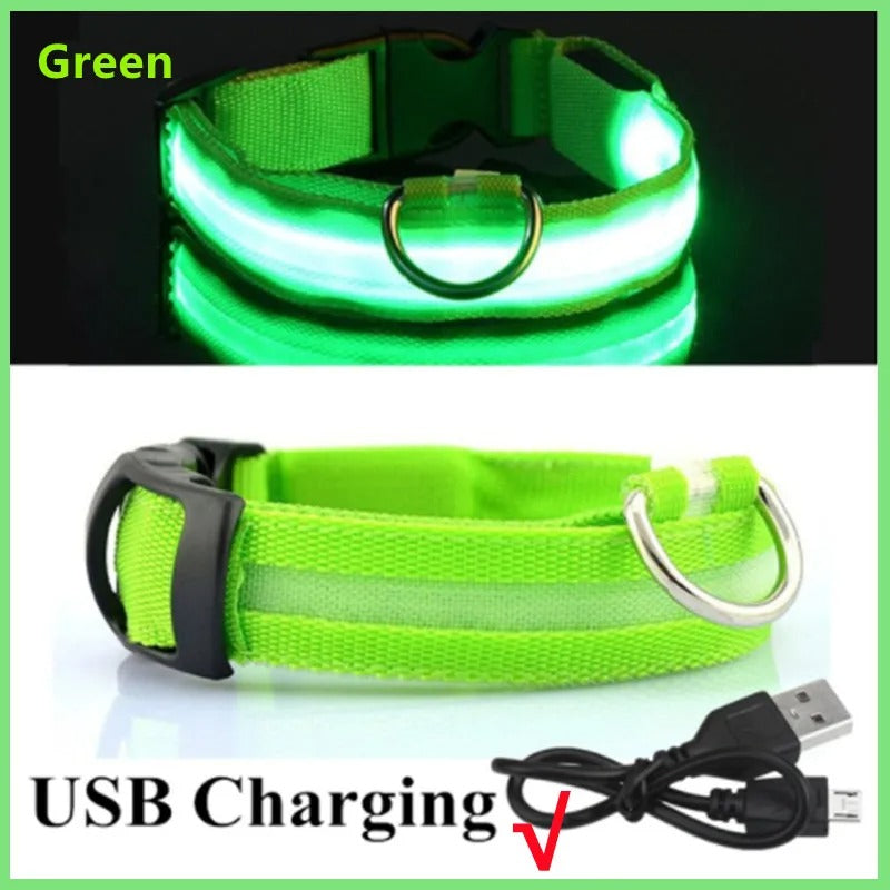 GlowDog™ – Lysande hundhalsband